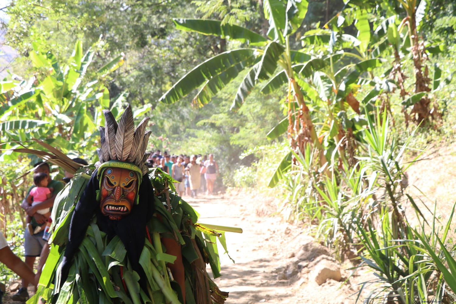 Hay (no solo) una jungla allá afuera:el otro lado de Costa Rica 